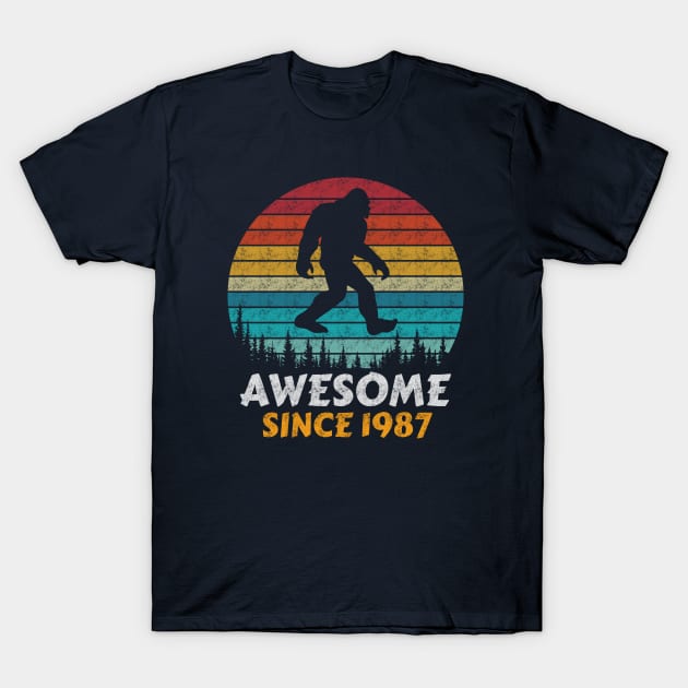 Awesome Since 1987 T-Shirt by AdultSh*t